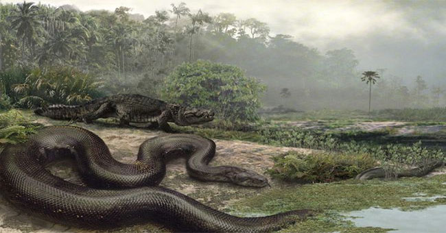Quái vật rắn khổng lồ Titanoboa vẫn còn sống ở rừng Amazon? Quái vật rắn khổng lồ Titanoboa vẫn còn sống ở rừng Amazon?