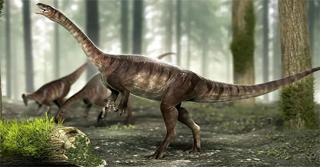Brazil phát hiện hóa thạch khủng long cổ dài lâu đời nhất thế giới