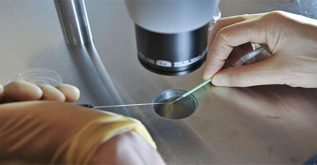 Hai bé gái sinh đôi được chỉnh sửa gene đầu tiên trên thế giới, có khả năng chống nhiễm HIV