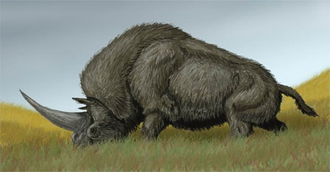 Lần đầu tiên phân tích được DNA của loài kỳ lân Siberia bí ẩn