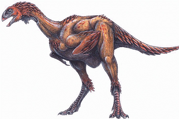 Hình ảnh được cho là loài khủng long Kakuru kujani