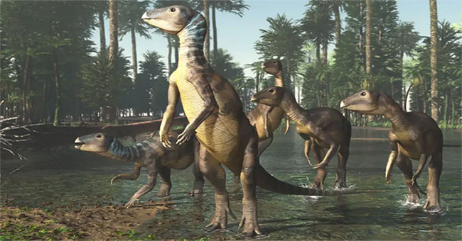 Khám phá ra loài khủng long mới tại Australia