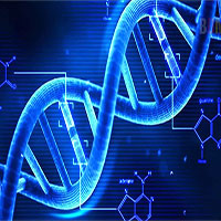 Vingroup chi tiền giải trình tự hệ gene 1.000 người Việt Vingroup chi tiền giải trình tự hệ gene 1.000 người Việt