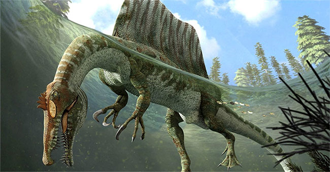 Spinosaurus - Loài khủng long săn mồi cực lớn trên Trái Đất