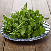 Mùa đông tăng cường ăn cải xoong để đạt được những lợi ích tuyệt vời này! Mùa đông tăng cường ăn cải xoong để đạt được những lợi ích tuyệt vời này!