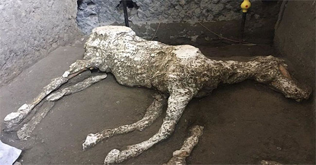 Phát hiện xác ngựa gần 2.000 năm vùi dưới tro núi lửa