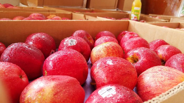 Mẹo loại bỏ lớp sáp trên bề mặt quả táo