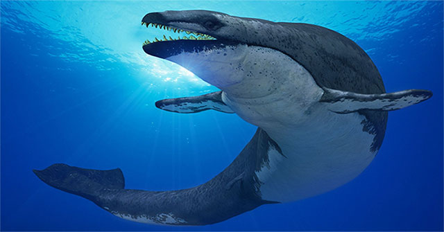Quái vật tiền sử "thằn lằn chúa" chuyên săn cá voi được phát hiện ở Ai Cập