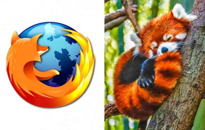 Mozilla Firefox