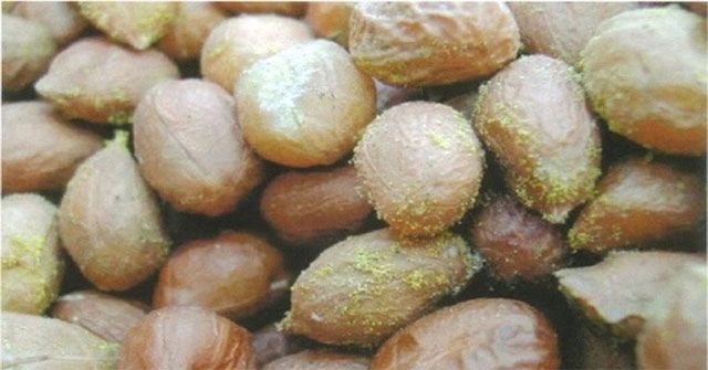 Thực phẩm bị mốc, gọt phần mốc bỏ đi còn ăn được không: 3 loại sau đây bắt buộc phải vứt Thực phẩm bị mốc, gọt phần mốc bỏ đi còn ăn được không: 3 loại sau đây bắt buộc phải vứt