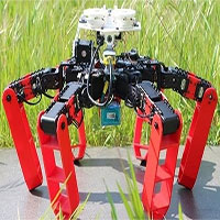 Phát minh loại robot mới có thể di chuyển mà không cần GPS Phát minh loại robot mới có thể di chuyển mà không cần GPS