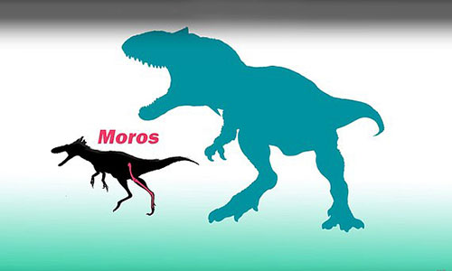 Kích thước loài Moros intrepidus so với hậu duệ T-rex.