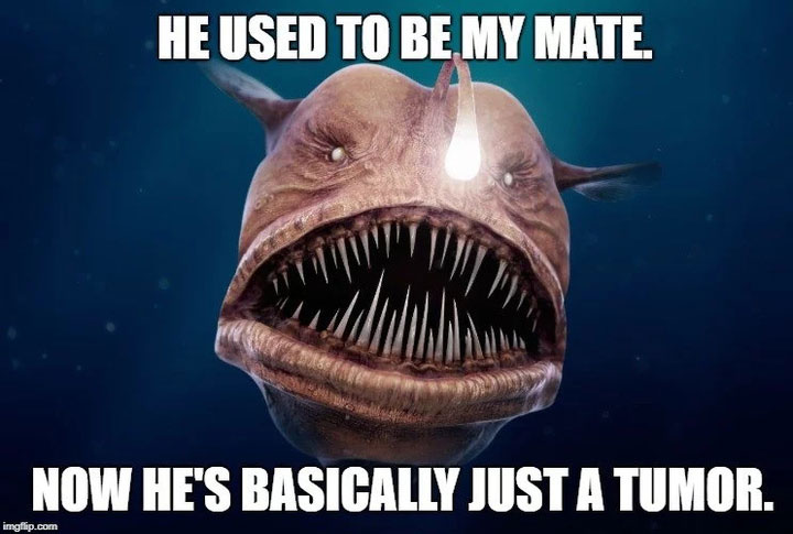 Đây là một trong nhưng sự thích nghi sinh sản cực đoan nhất