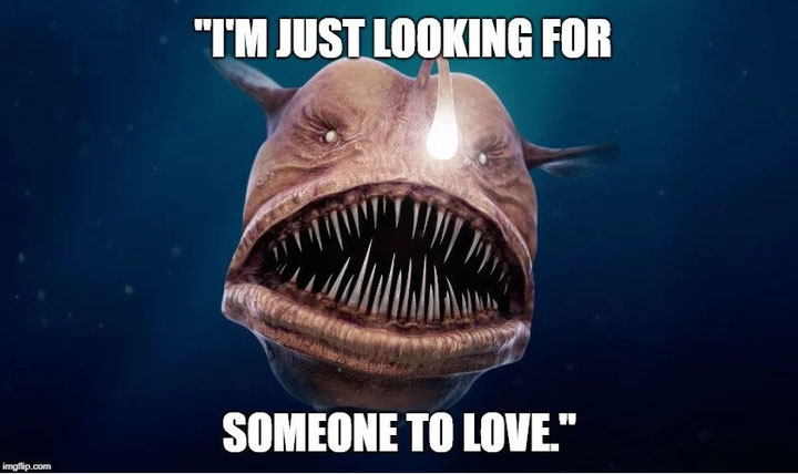 Ai cũng biết rằng, để có thể gặp được "một nửa" đích thực khó đến thế nào.