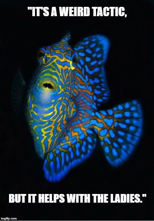 Phát quang sinh học là một trong những hiện tượng thích ứng với tự nhiên đẹp nhất