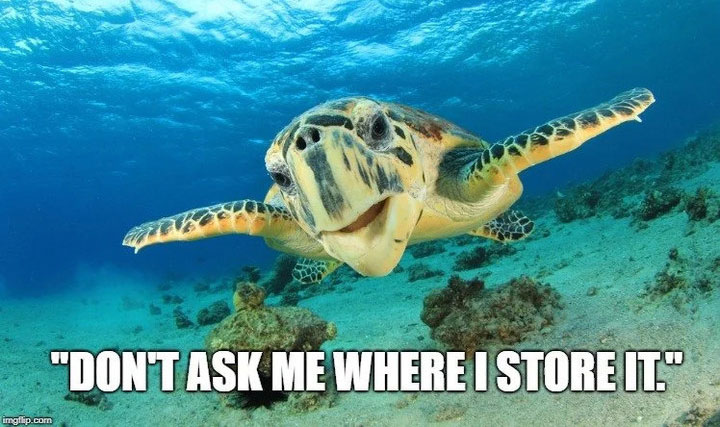 Nếu điều kiện sinh sản chưa thuận lợi, một số loài có khả năng lưu giữ tinh trùng từ những "cuộc vui" để dành cho cá thể khác