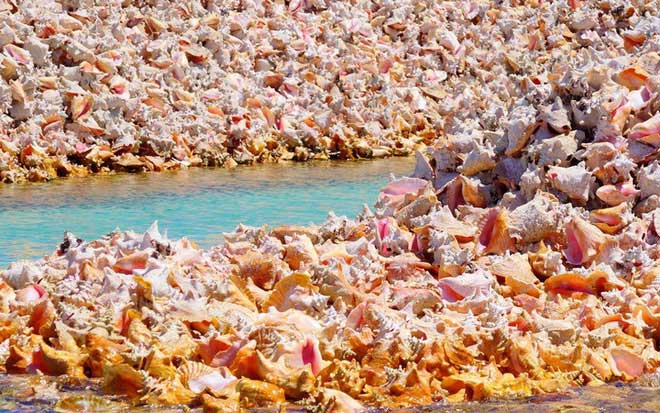 Hòn đảo này là minh chứng cho thấy sự khai thác khủng khiếp của con người. 