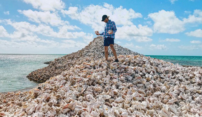 Đảo Conch được xây dựng từ hàng triệu vỏ ốc xà cừ.