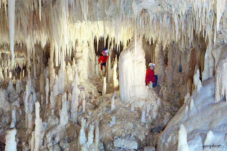 White Cave mọc đầy măng, nhũ đá. 