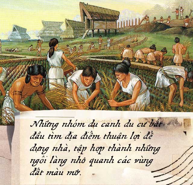 Người của Thời kỳ Đồ đá mang theo hạt giống mỗi chuyến du hành, rải hạt trên những khoảnh đất màu mỡ để năm sau có thể thu hoạch.