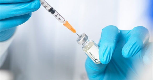 Sắp bào chế thành công vaccine dịch tả lợn Châu Phi