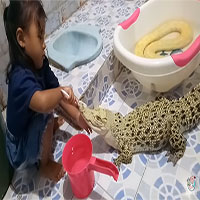 Video: Hết hồn cảnh bé gái ngồi đánh răng cho cá sấu Video: Hết hồn cảnh bé gái ngồi đánh răng cho cá sấu