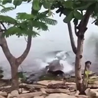 Cá sấu nhanh như chớp chồm lên đớp chết chó bên bờ sông Cá sấu nhanh như chớp chồm lên đớp chết chó bên bờ sông