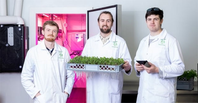 Anh triển khai công nghệ khí canh để trồng rau xanh
