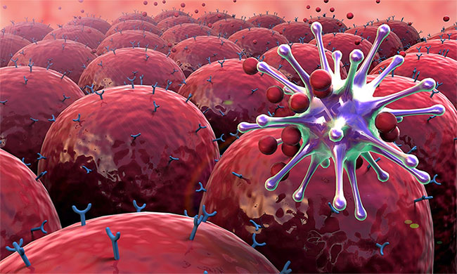 Kích hoạt tế bào NK sẽ giúp tăng hệ miễn dịch tự nhiên cho người ung thư. 