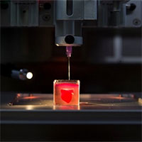 In thành công tim 3D đầu tiên trên thế giới nhờ sử dụng mô tế bào In thành công tim 3D đầu tiên trên thế giới nhờ sử dụng mô tế bào
