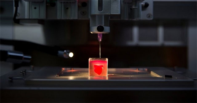 In thành công tim 3D đầu tiên trên thế giới nhờ sử dụng mô tế bào