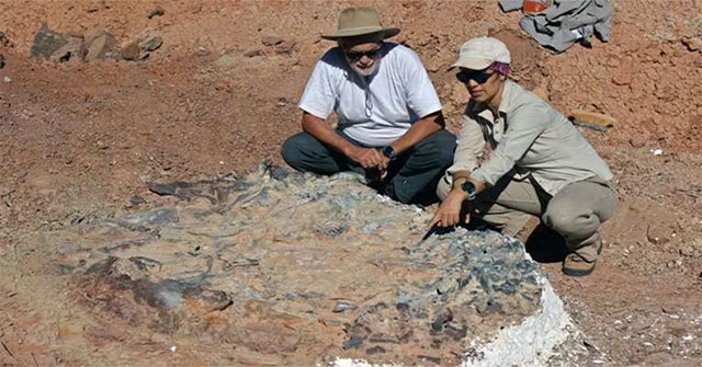 Tìm thấy hóa thạch khủng long 220 triệu năm tuổi ở Argentina