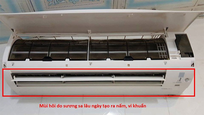 Vi khuẩn, nấm mốc và bụi trong máy lạnh khiến máy lạnh có mùi
