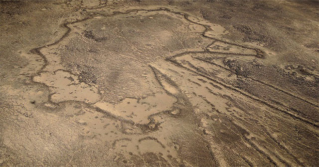 Hàng ngàn "cánh diều" khổng lồ 9000 năm tuổi rải rác khắp Trung Đông