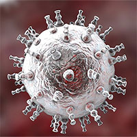 2 virus bệnh tình dục "giao phối", đe dọa sinh ra siêu bệnh mới 2 virus bệnh tình dục "giao phối", đe dọa sinh ra siêu bệnh mới