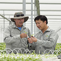 Chuyên gia Nhật bày cách nâng thu nhập cho nông dân Việt Chuyên gia Nhật bày cách nâng thu nhập cho nông dân Việt