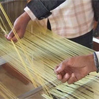 Vi khuẩn biến đổi gene có thể tạo ra loại tơ nhện siêu bền cho việc chế tạo trang phục không gian Vi khuẩn biến đổi gene có thể tạo ra loại tơ nhện siêu bền cho việc chế tạo trang phục không gian