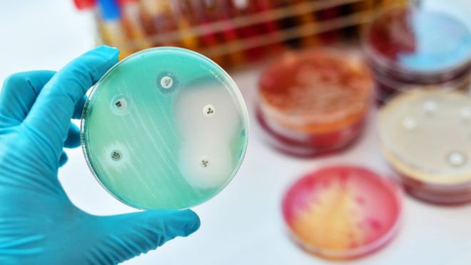 Các chính phủ, thậm chí liên chính phủ nên đầu tư nghiên cứu kháng sinh mới.