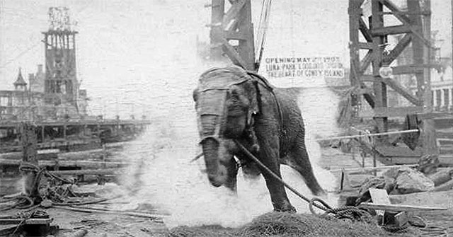 Thí nghiệm gây tranh cãi của Edison khiến thế giới giật mình vì sự tàn nhẫn của con người