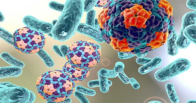 Lọc máu bị nhiễm trùng bằng nam châm