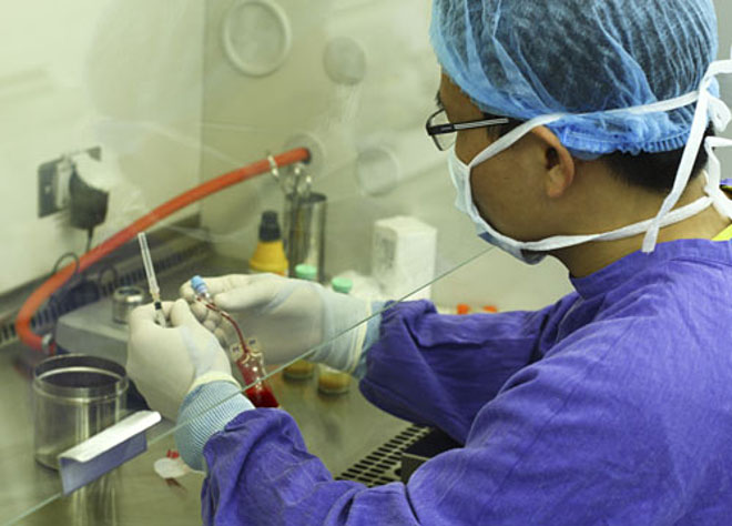 Kỹ thuật viên ứng dựng tế bào gốc tái tạo hệ thống tạo máu cho bệnh nhân.