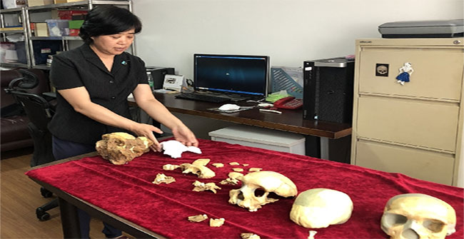 Phát hiện hóa thạch người 300.000 năm tuổi