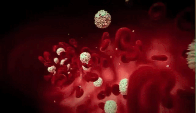 Tế bào máu