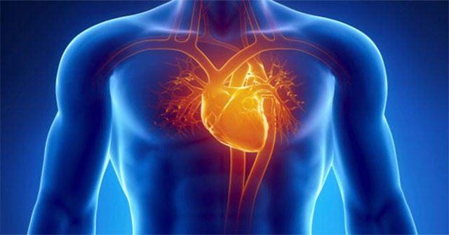 Điều gì xảy ra khi lên cơn đau tim?