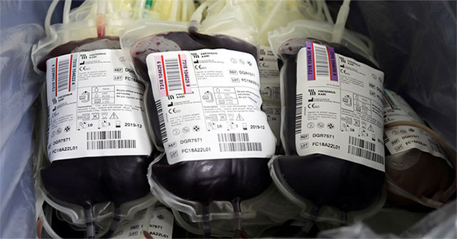 Biến mọi nhóm máu thành O nhờ… vi khuẩn