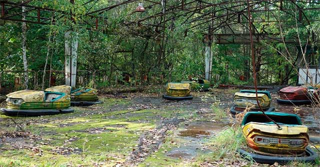Tại sao thảm họa nguyên tử Chernobyl không giết hết tất cả các loài thực vật?