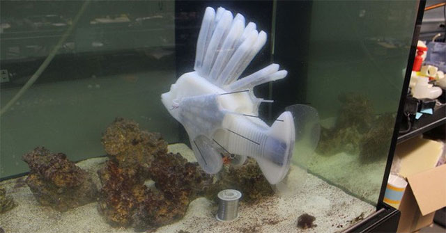 Các nhà khoa học vừa tạo ra robot cá chạy bằng "máu"