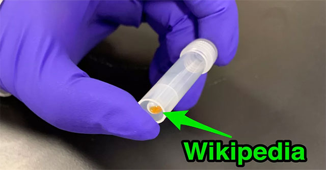 Toàn bộ 16GB Wikipedia tiếng Anh được lưu trữ trên ADN, nằm gọn trong ống nghiệm thế này đây