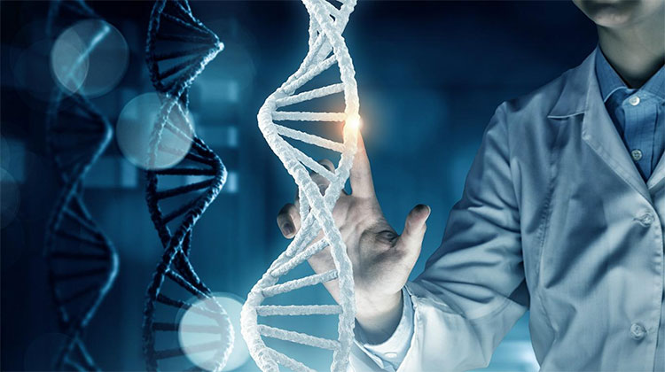 Các nhà nghiên cứu phát hiện 25 triệu biến dị sau khi giải trình tự gene ở người Kinh.