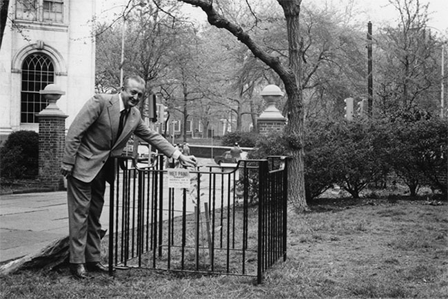 Cây "mặt trăng" được trồng ở Công viên Washington Square năm 1975